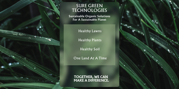 How to Use Plant Growth Enhancer Spray \ Sure Green Technologies